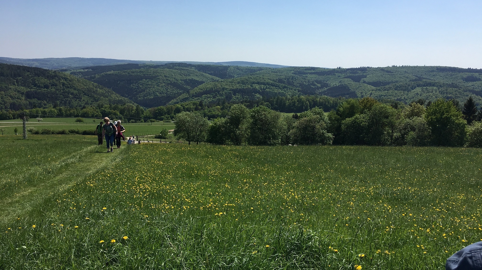 Wiesen und sanfte Täler im Wispertal